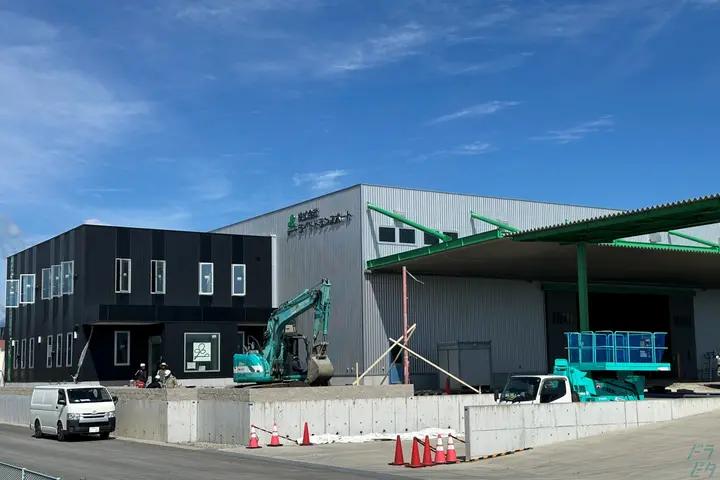 the first company image