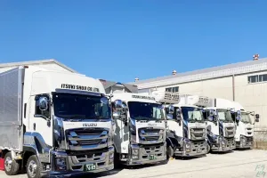 the first company image