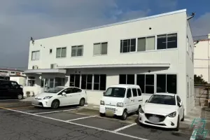 the first company image
