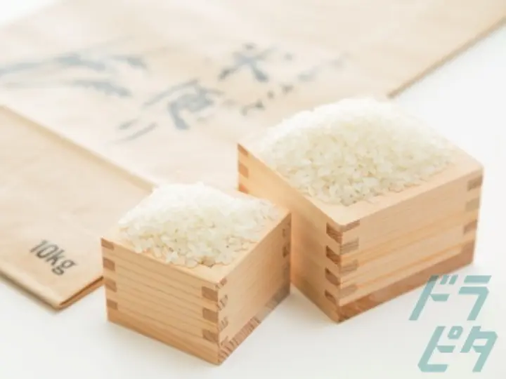 D.S.LINE有限会社 (神奈川県平塚市/平塚駅/配送・配達ドライバー)_2