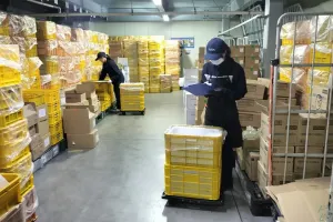 the first company image