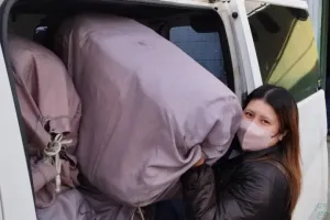 the first company image