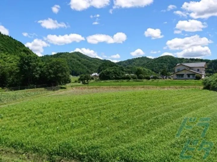 株式会社サンシャインエクスプレス 本社(兵庫県丹波篠山市/篠山口駅/タクシー・バス・運転代行)_4