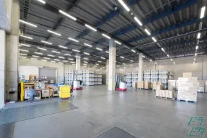 the first company image