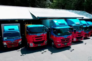 the first company image