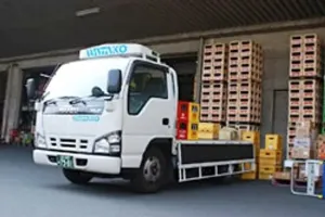the first company image