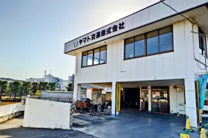 the first company image