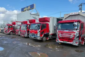 the first company image