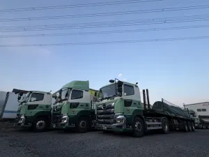 the first company image