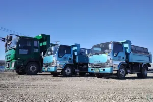 the first company image