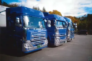 the first company image