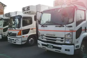 the first company image