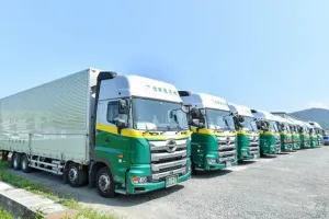 the first company image