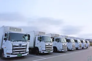 the first company image