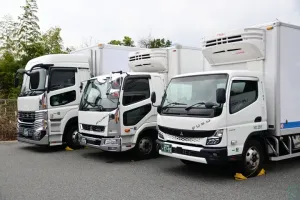 the first company image