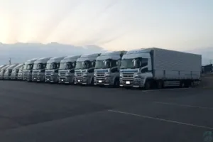 the first company image