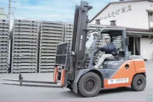 the first company image