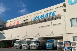 the first company image