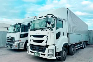 the first company image