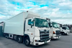 the first company image