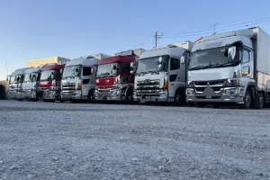 the first company image