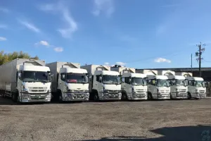 the first company image