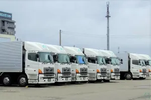 the first company image