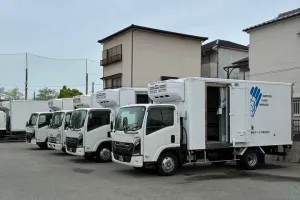 the first company image