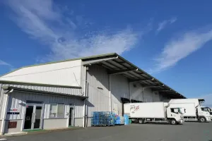 the first company image