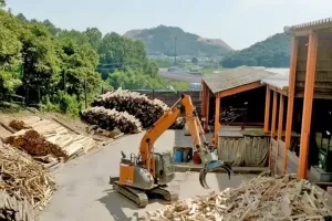 the first company image