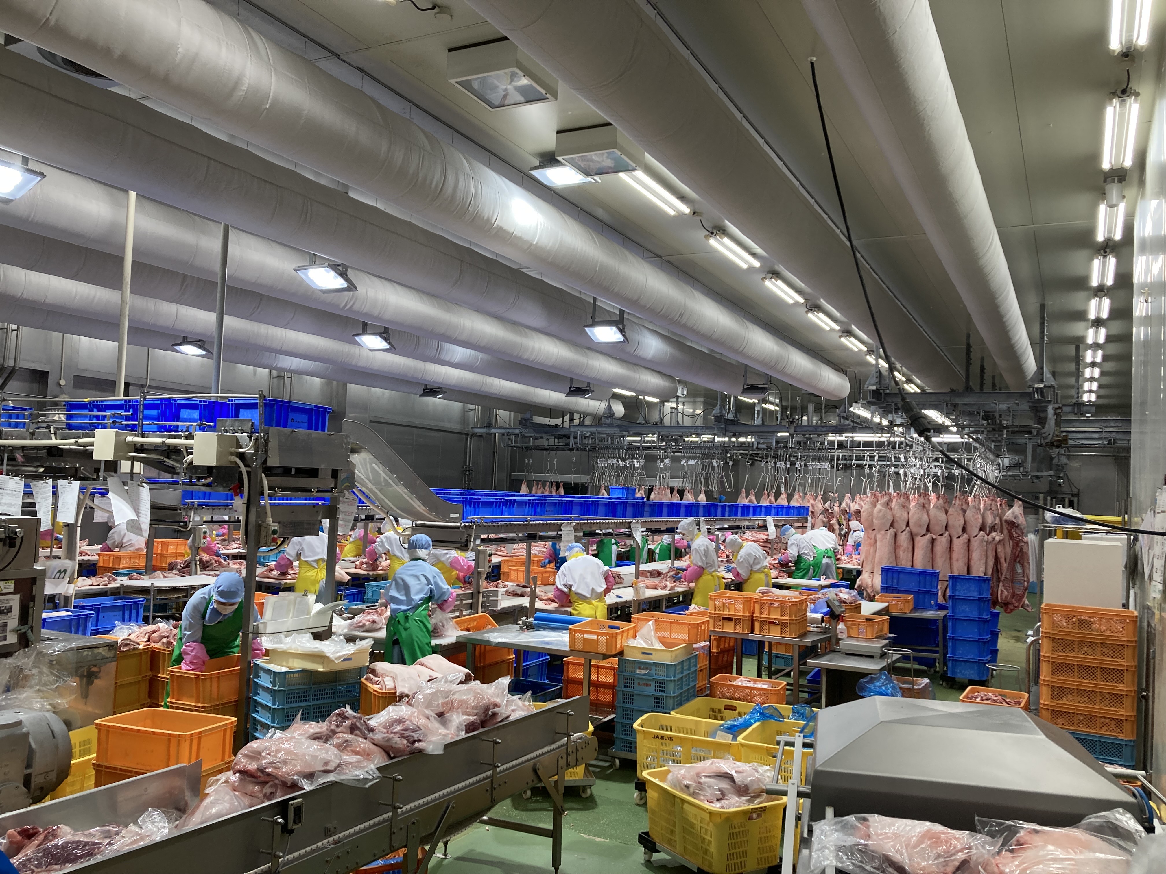 名古屋ミートセンター/食品工場での包装部門