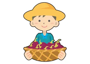 the first company image