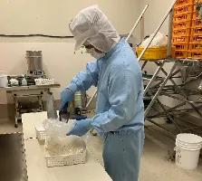 the first company image