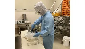 the first company image