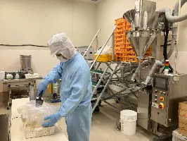 the first company image