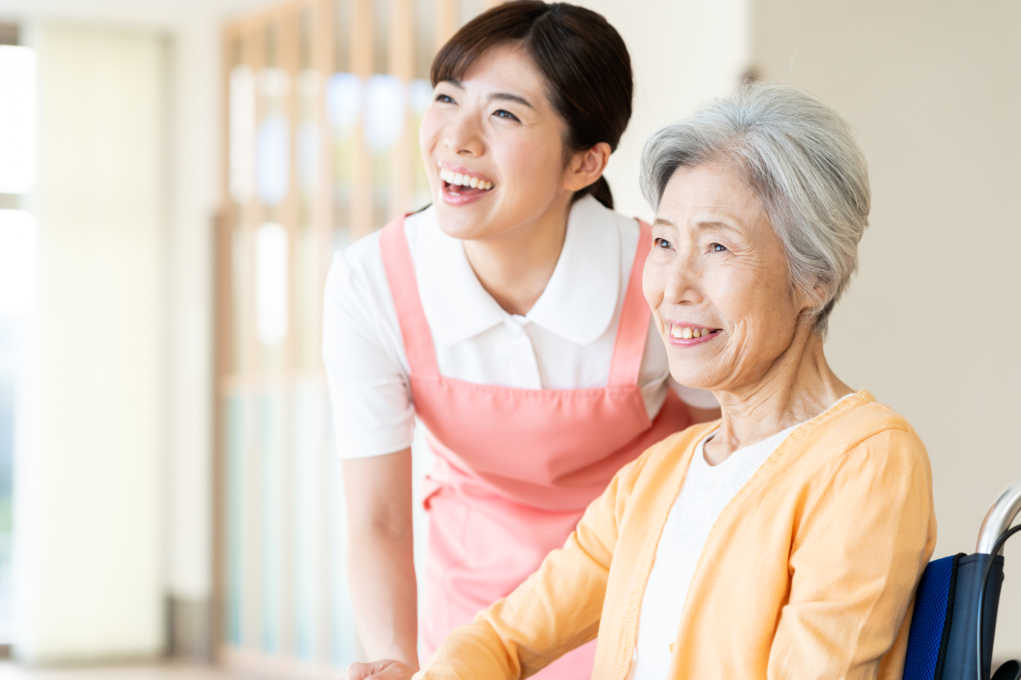 有限会社めばえの画像・写真