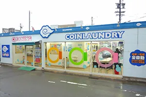 the first company image
