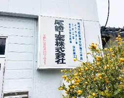 the first company image