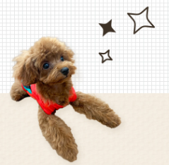 合資会社STサービス(愛知県春日井市/味美駅/タクシー・バス・運転代行)_2