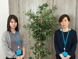 the first company image
