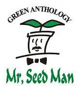 the first company image