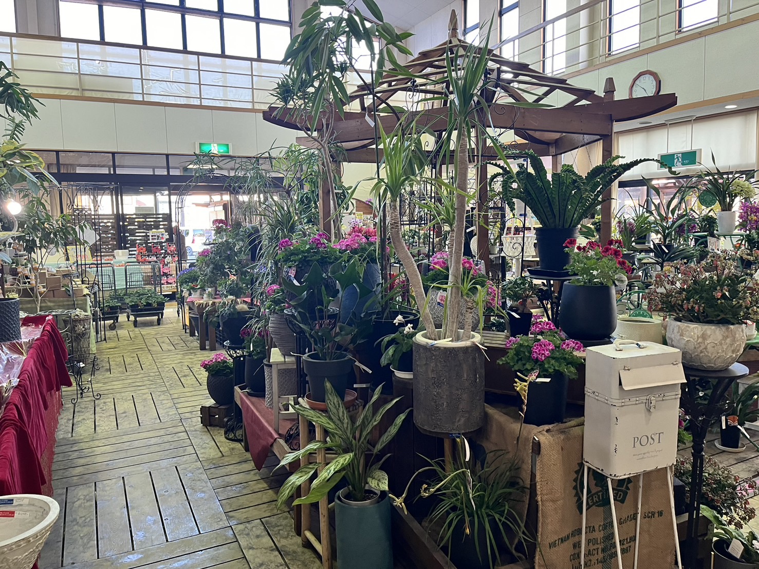 有限会社川西種苗店(愛知県豊橋市/二川駅/その他(販売・サービス・アパレル系))_2