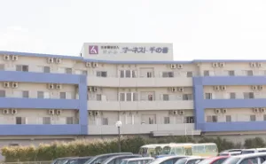 the first company image