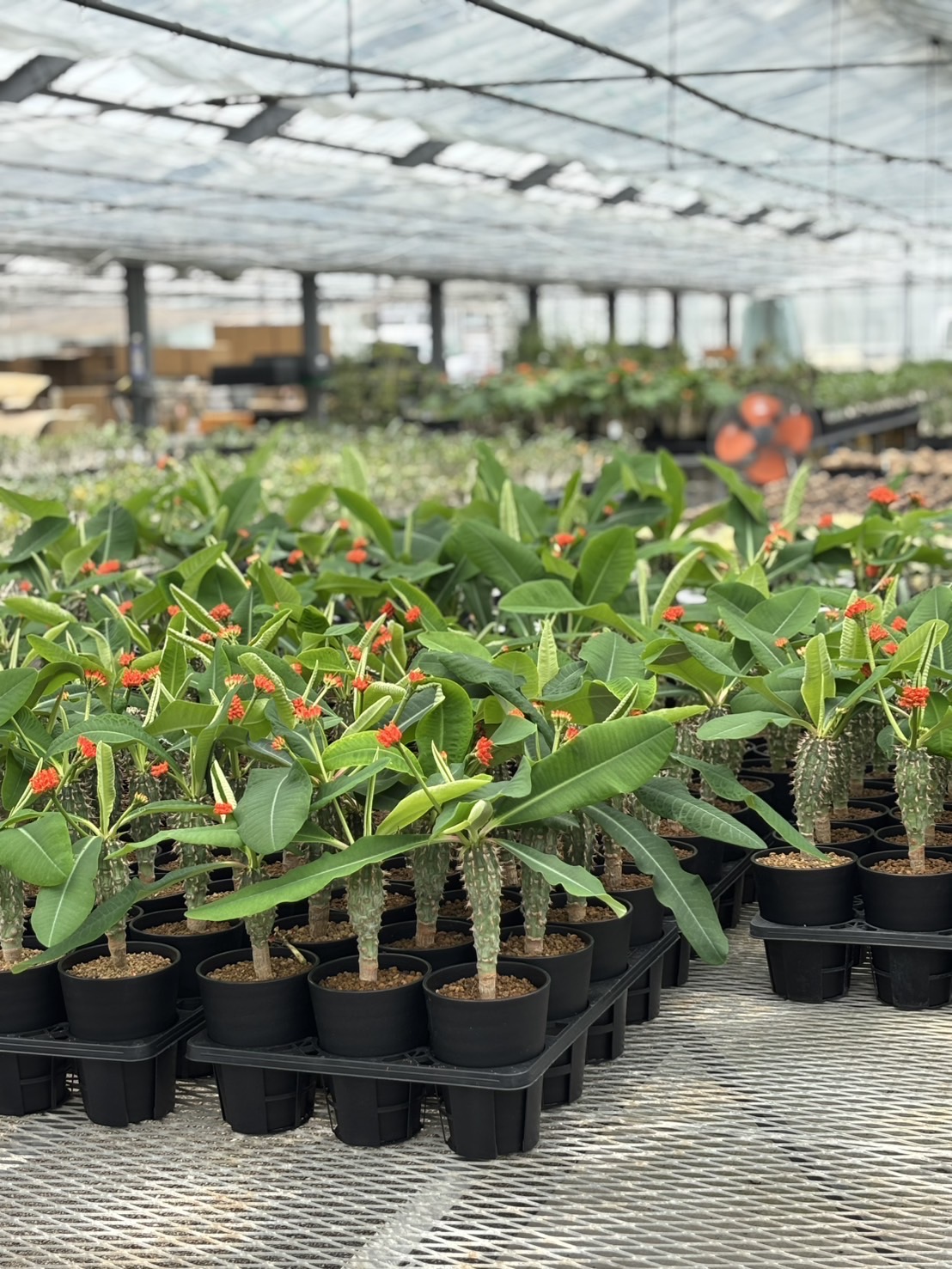 株式会社三浦商事(愛知県岡崎市/相見駅/軽作業)_3