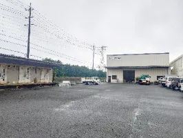 the first company image