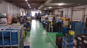 the first company image