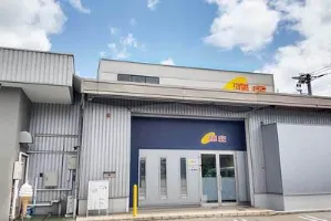 the first company image