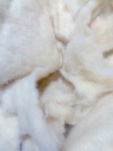 株式会社フロンティア(岡山県都窪郡早島町/中庄駅/製造・加工・組立・整備)_3