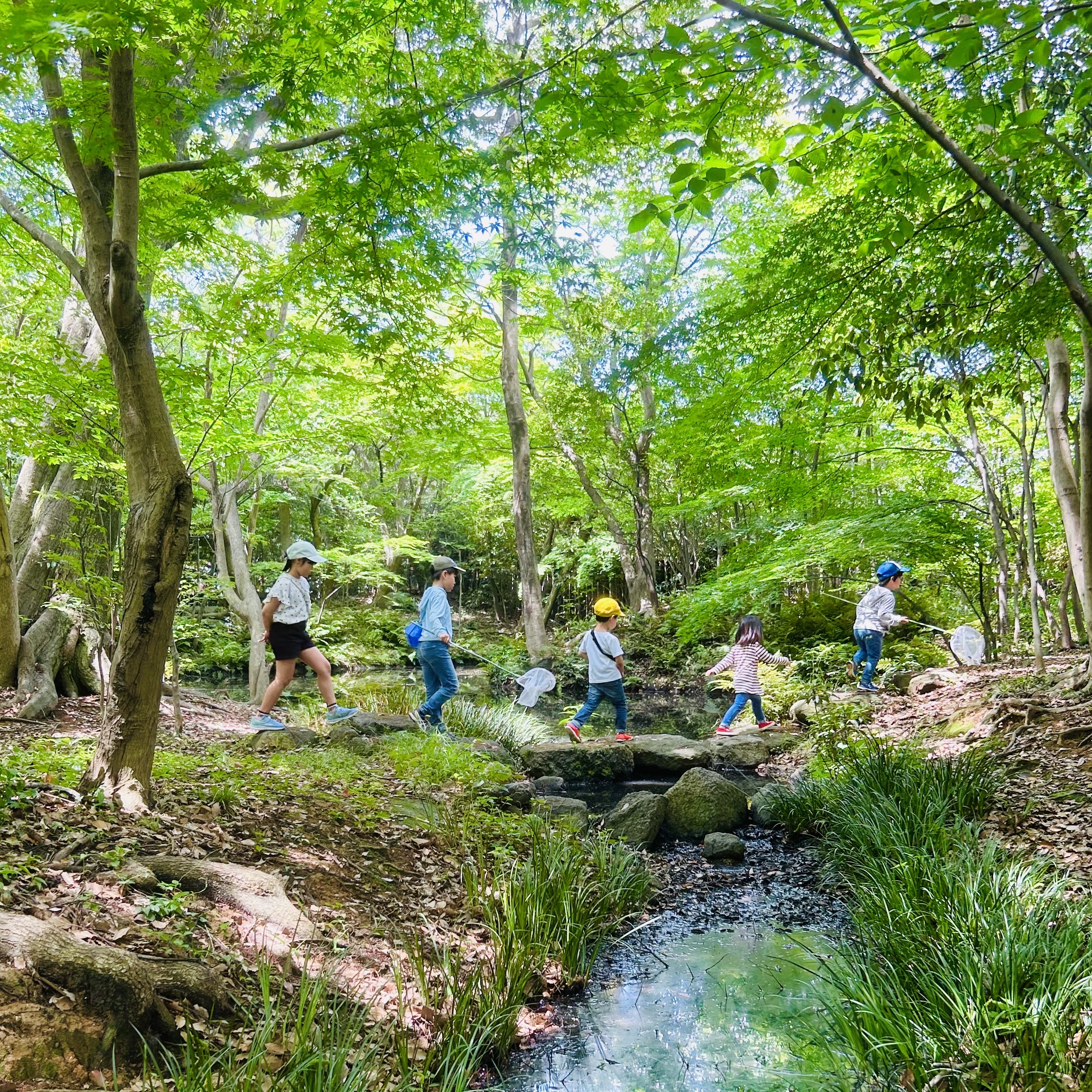 草取りなど里山管理／60代活躍／知多半田駅スグ／8-13時・週3だけ
