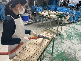 the first company image